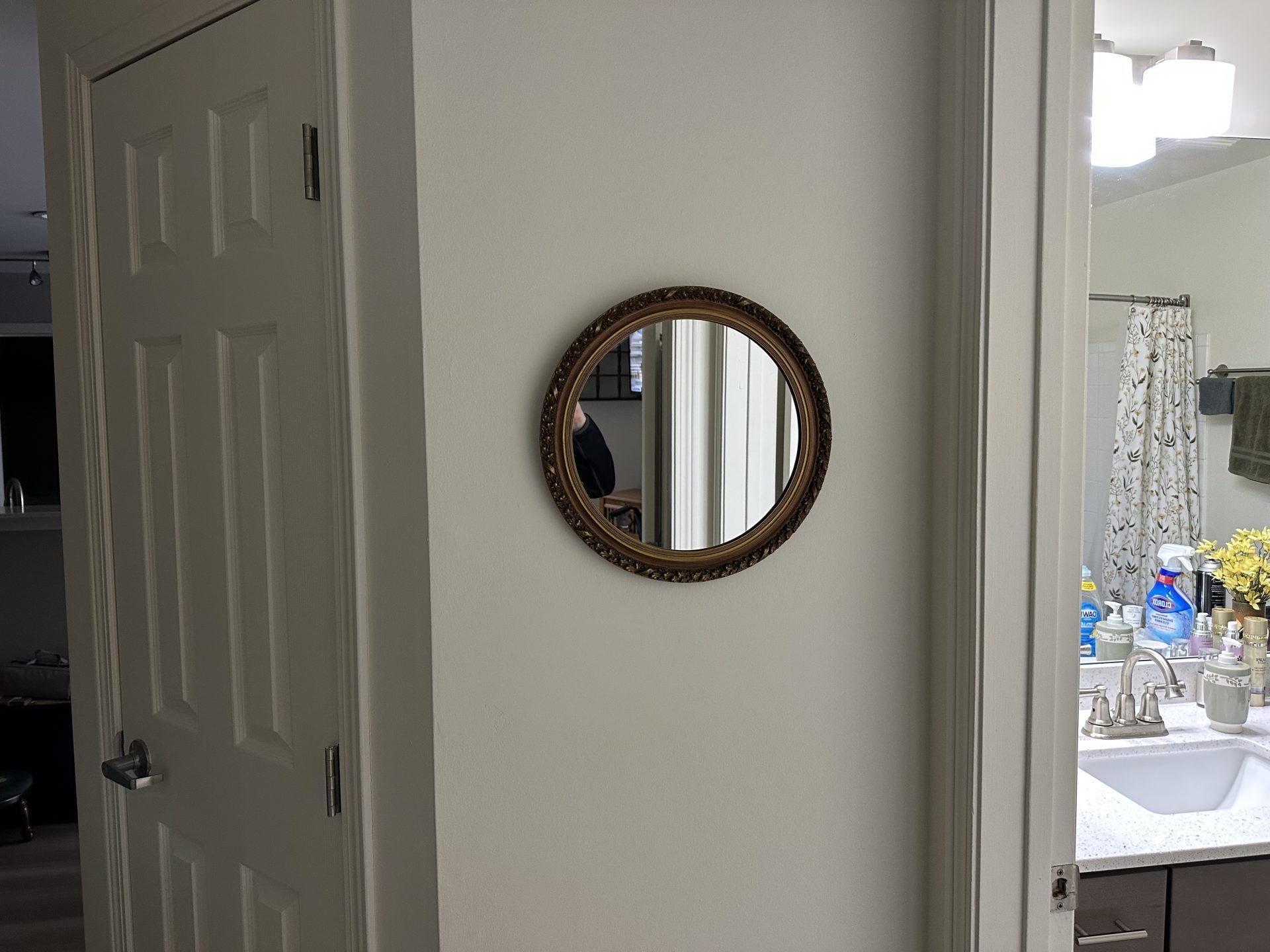 Mounting artwork in Wheaton by Modern Handyman